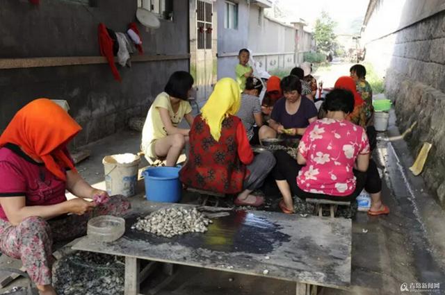  红岛蛤蜊是这样端上咱餐桌的