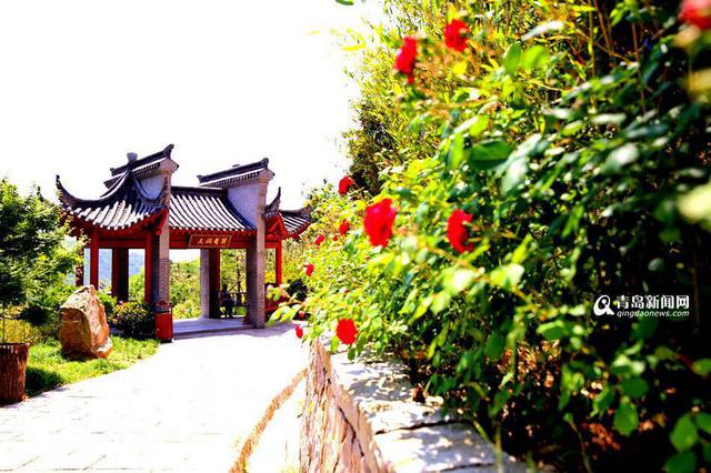 李沧区城建规划 李沧区城建规划
