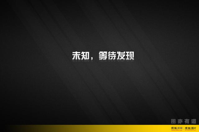组图：撩妹竞选跑龙套 盘点川普的百面人生