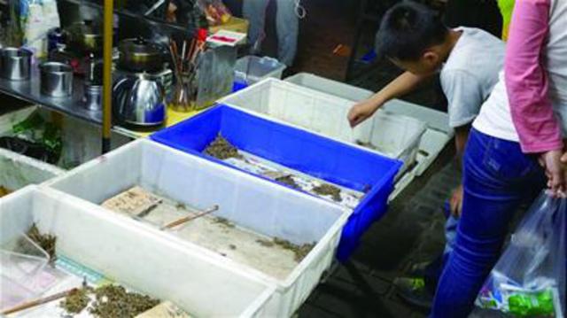儿子夜市好奇抓蝎子被蜇 几秒钟手指红肿(图) 