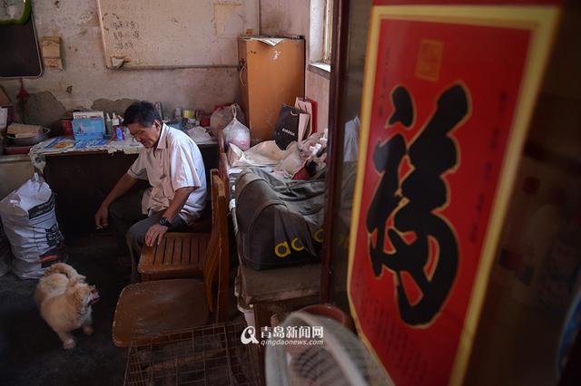 【青岛故事】坚持28年 七旬老人给流浪狗筑家