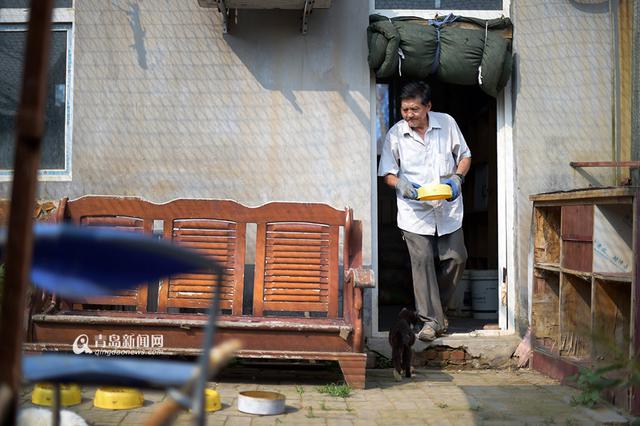 【青岛故事】坚持28年 七旬老人给流浪狗筑家