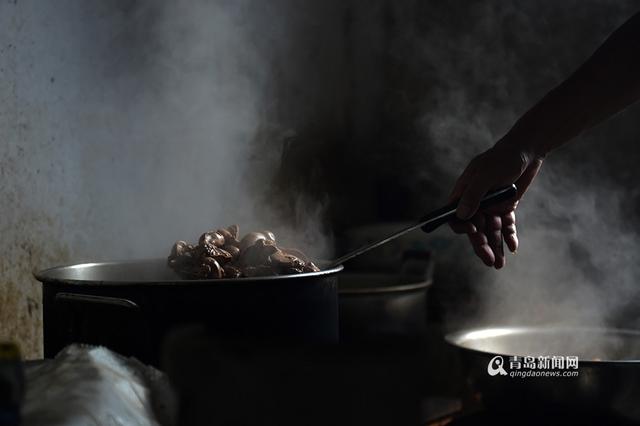 【青岛故事】坚持28年 七旬老人给流浪狗筑家