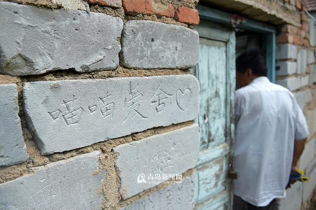 【青岛故事】坚持28年 七旬老人给流浪狗筑家