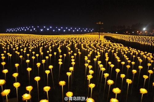 组图:啤酒节黄岛会场今晚开幕 电光玫瑰美翻了