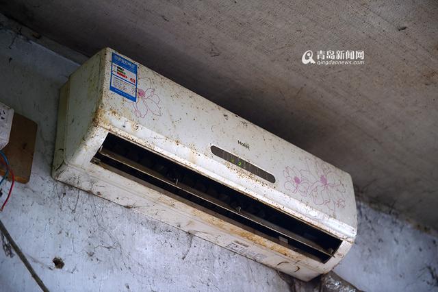 【青岛故事】坚持28年 七旬老人给流浪狗筑家