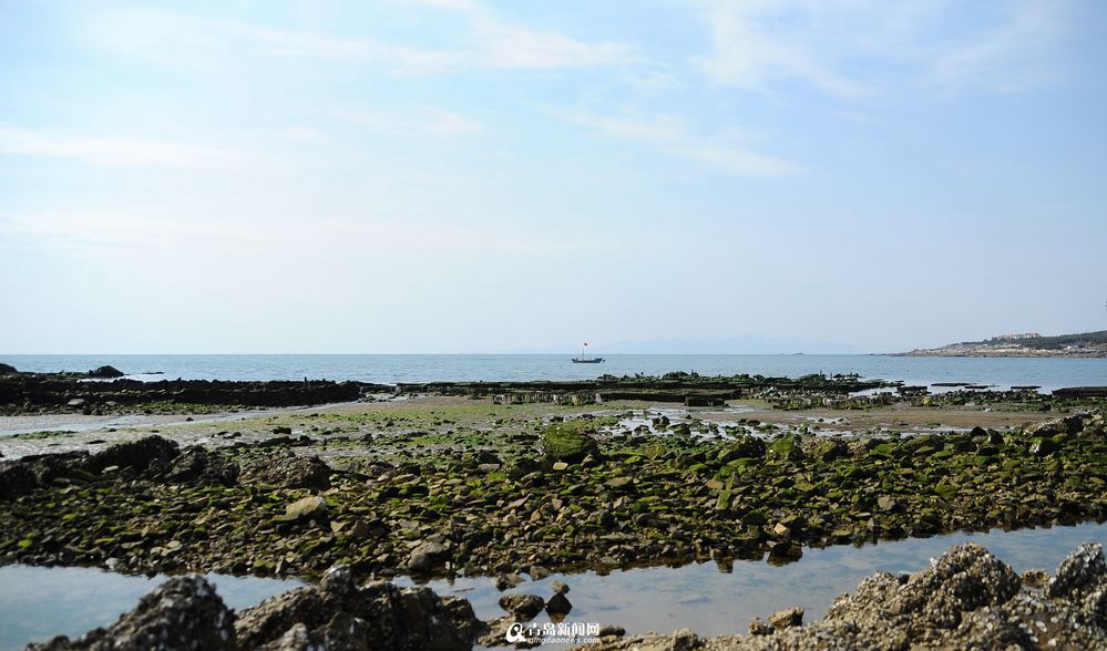 游青岛不走寻常路 细数郊外不能错过的海景