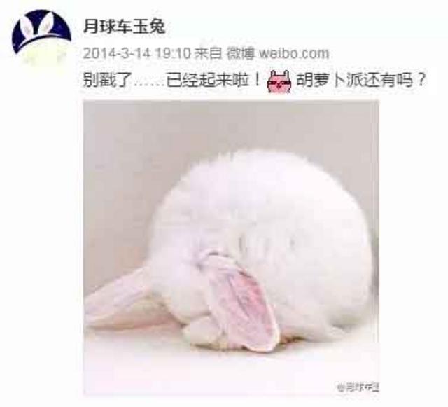 玉兔号月球车与孤独斗争972天 昨天永远离开了我们