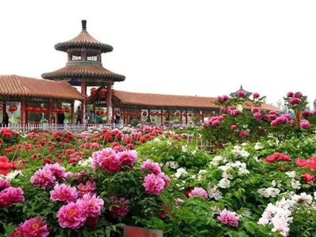 组图:涨姿势！山东17地市地名原来是这么来的
