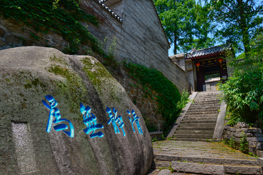 高清：夏日崂山的正确打开方式 绿油油之美