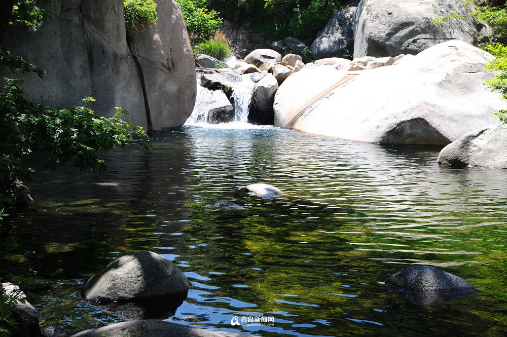 高清：夏日崂山的正确打开方式 绿油油之美