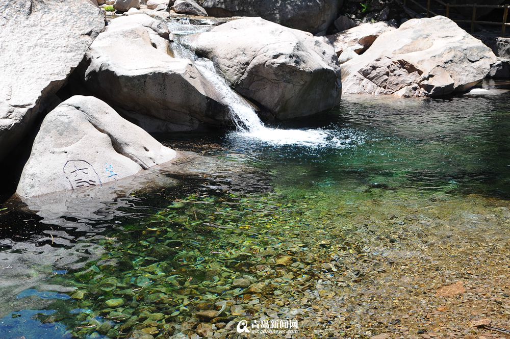 高清：夏日崂山的正确打开方式 绿油油之美