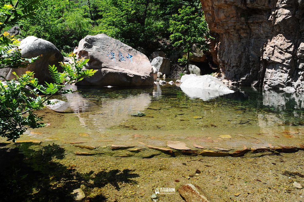 高清：夏日崂山的正确打开方式 绿油油之美