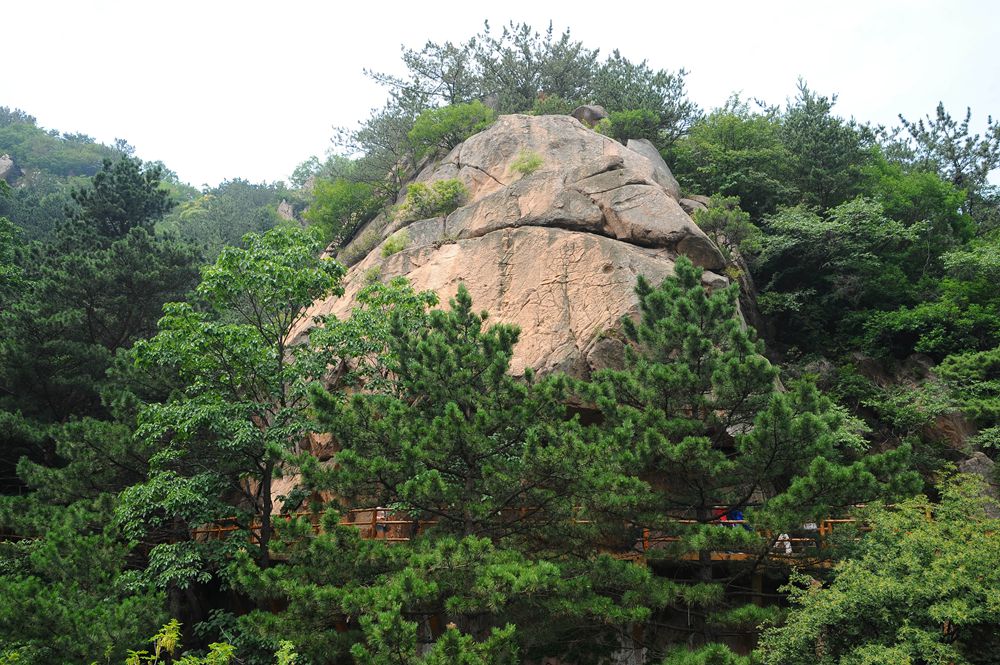 高清：夏日崂山的正确打开方式 绿油油之美