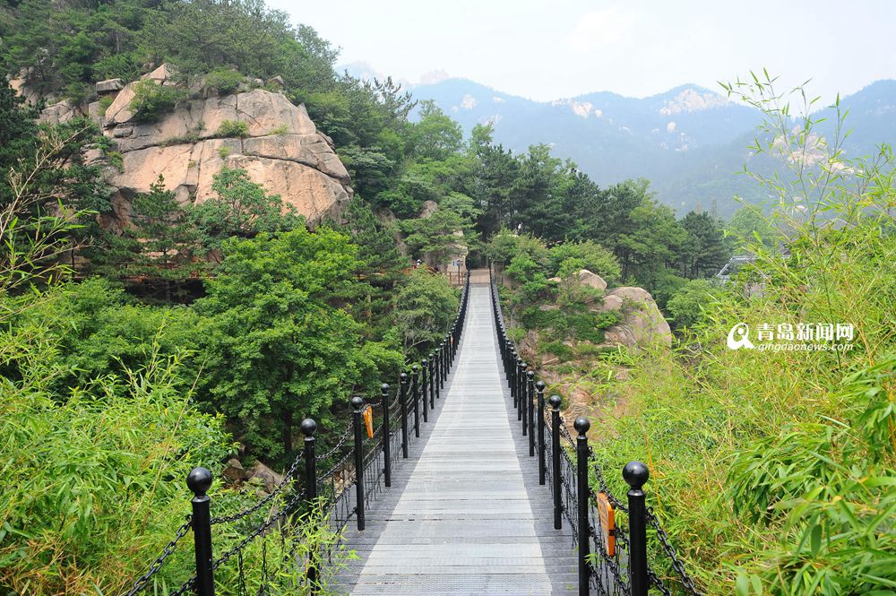 高清：夏日崂山的正确打开方式 绿油油之美