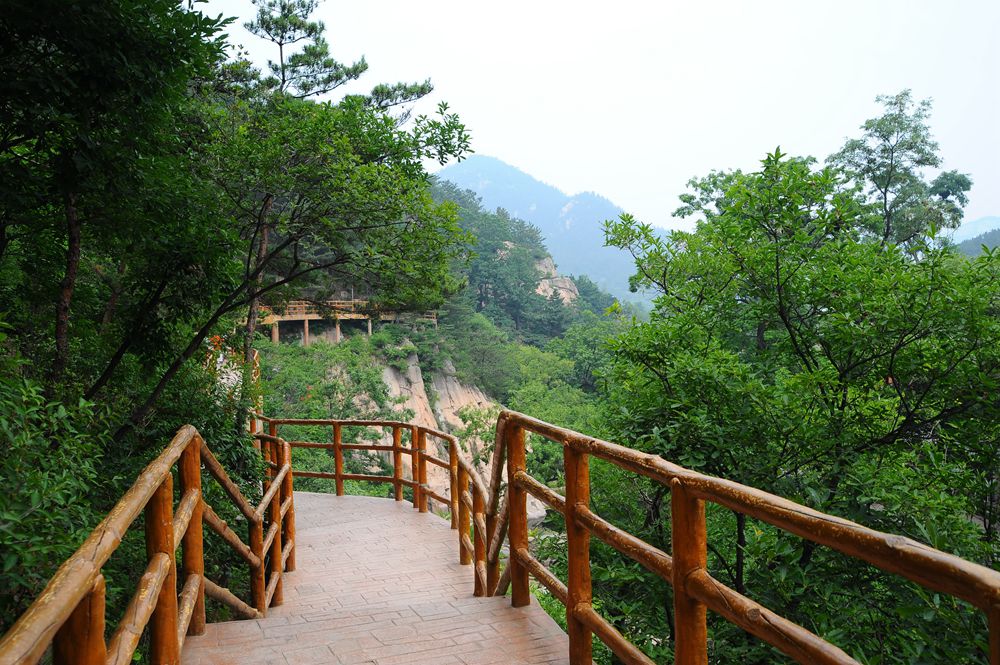 高清：夏日崂山的正确打开方式 绿油油之美