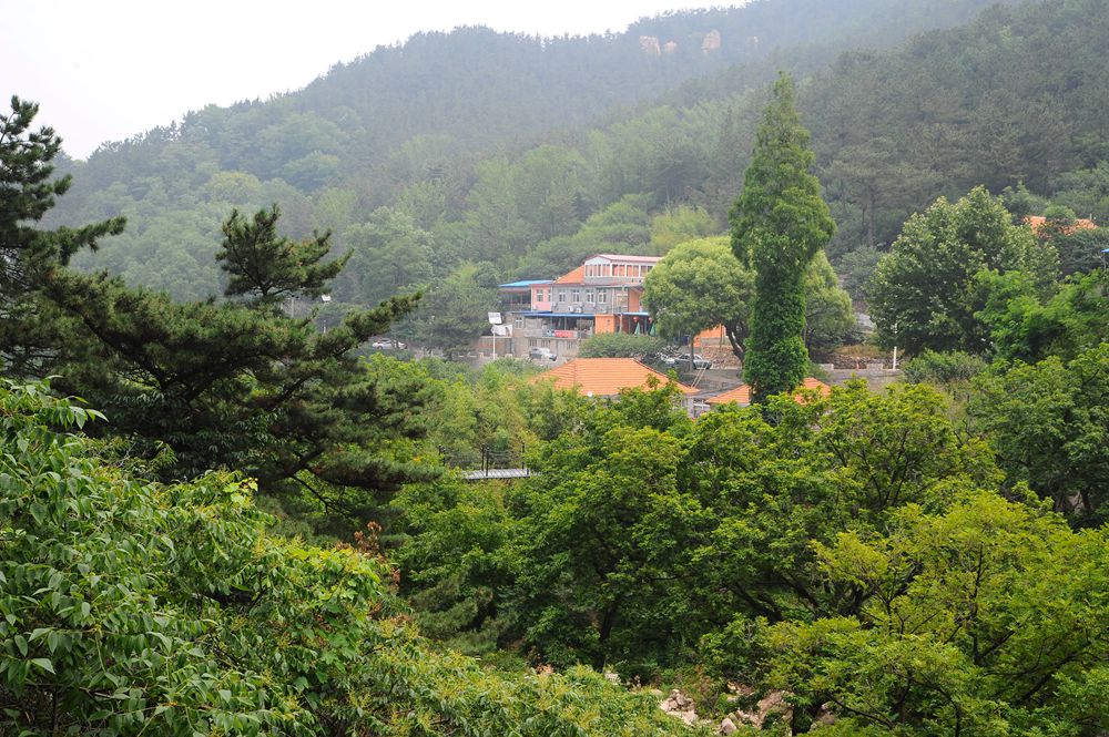 高清：夏日崂山的正确打开方式 绿油油之美