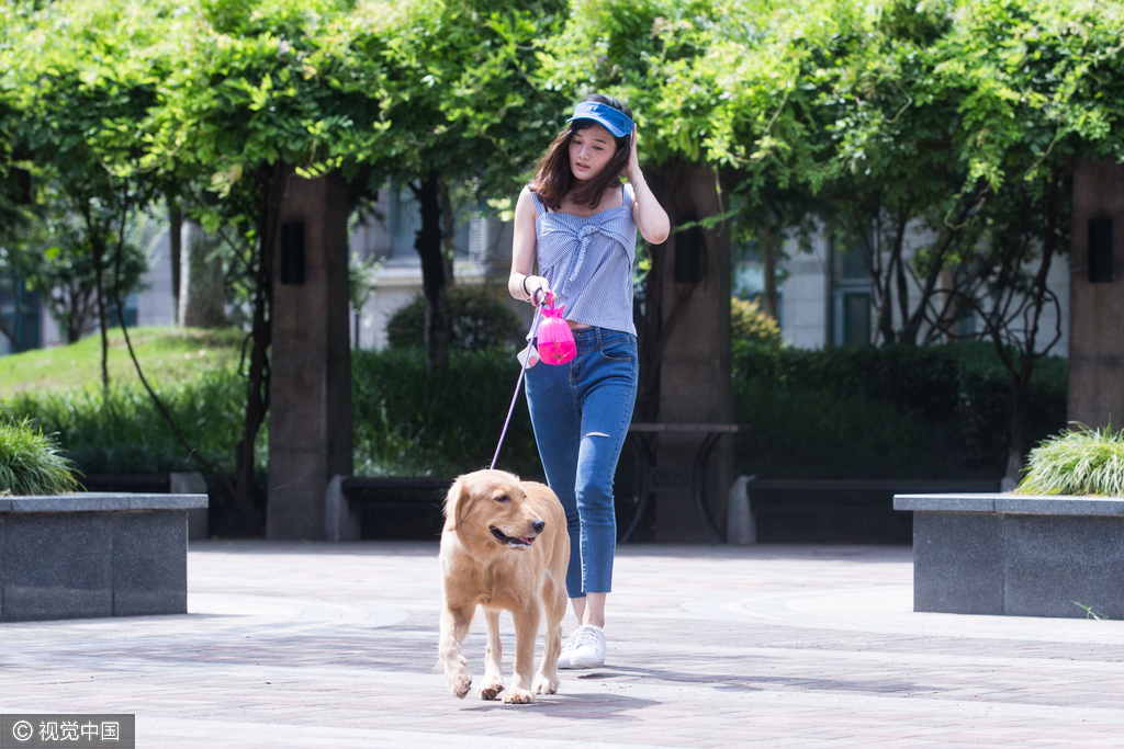 90后女大学生做奇葩兼职月入过万 遛狗谈心赚钱