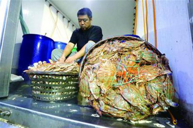 市场凌晨上演“抢蟹大战”