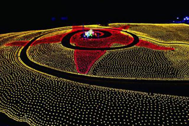 喝完啤酒逛1500米滨海步行道 喝完啤酒逛1500米滨海步行道