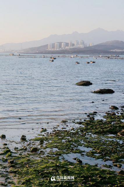 【美丽乡村】去鱼鸣嘴看海 纯净之美叹为观止