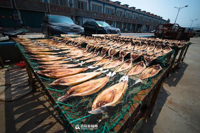 海鲜飘香的港东 崂山美食之乡