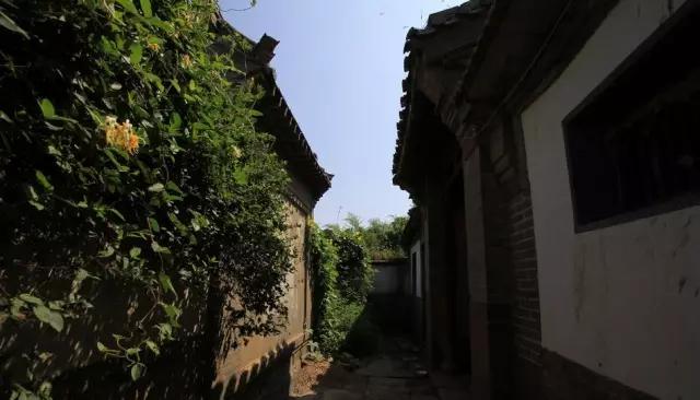 避暑'桃花源',青岛这些令人心静的乡村你去过几个? 避暑'桃花源',青岛这些令人心静的乡村你去过几个?