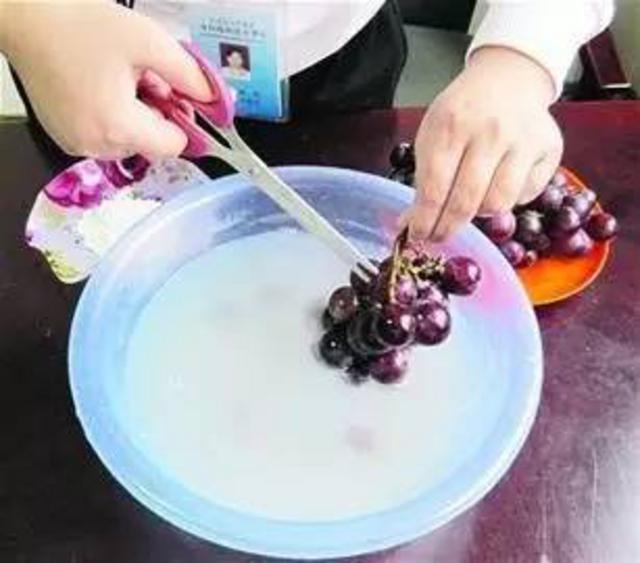 组图:青岛葡萄季来啦 这份最全采摘攻略快收好