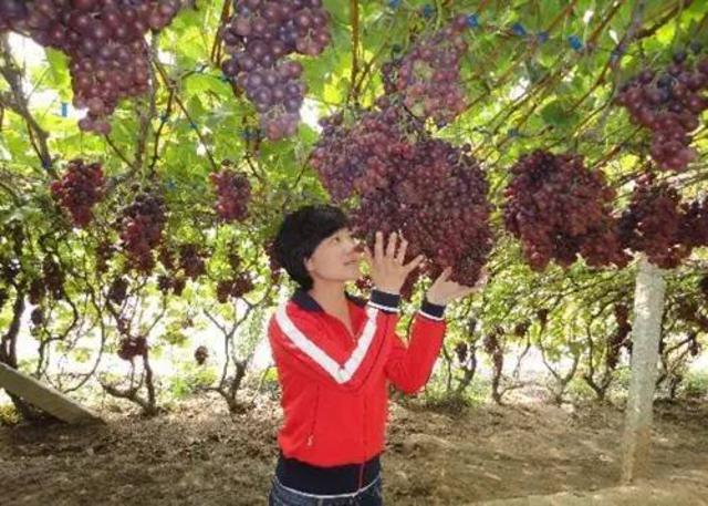 9月青岛好消息太多:3号线南段将空载试运行 9月青岛好消息太多:3号线南段将空载试运行