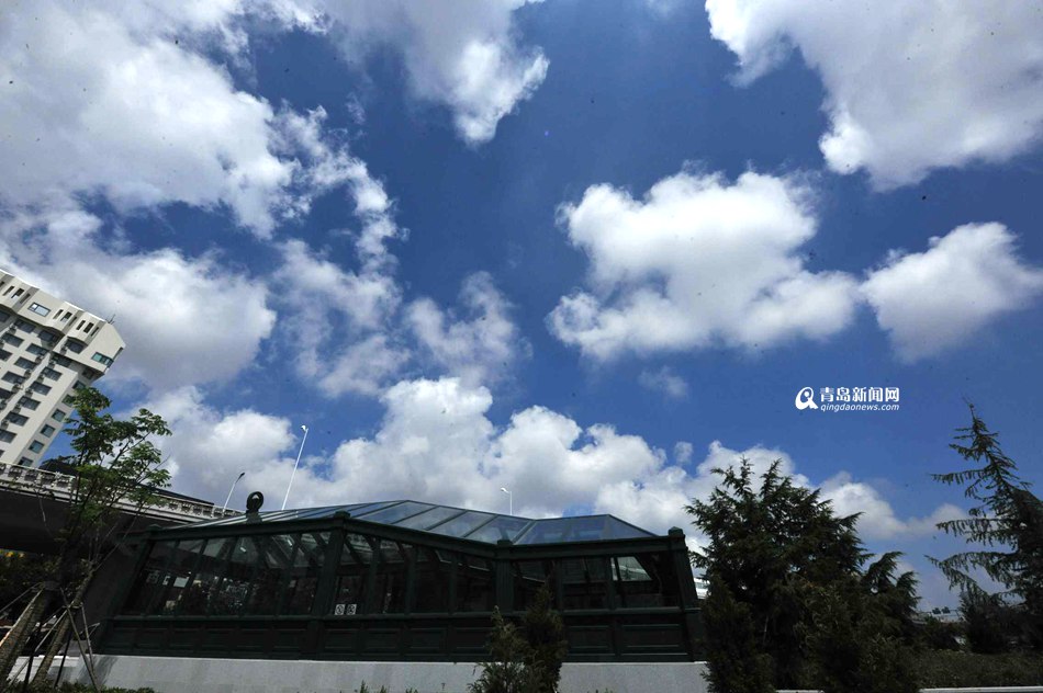 高清:空气优良率100%！这俩月青岛蓝爆棚