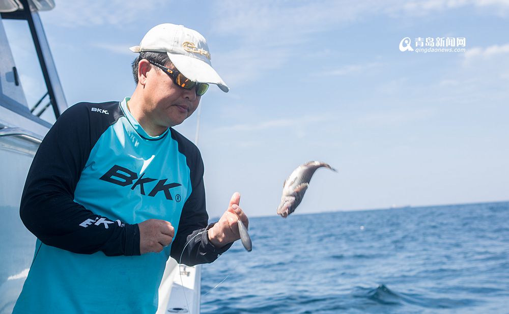 高清:青岛近海迎黑头鱼汛 钓鱼达人收获满满