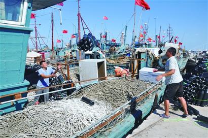 黄渤海秋季开海倒计时4天