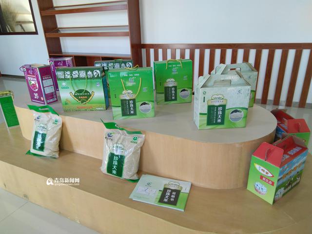 【最美乡村】大沽河畔纪家庄 周末出游好去处