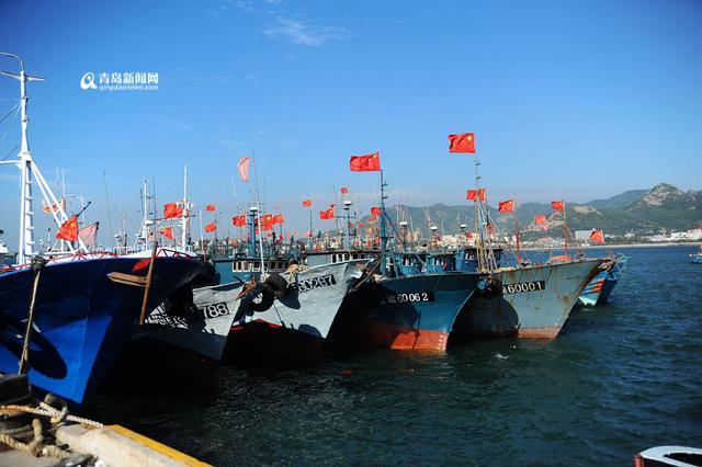 高清：青岛开海倒计时 沙子口渔港百船待发
