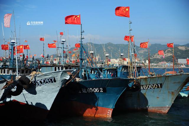 高清：青岛开海倒计时 沙子口渔港百船待发