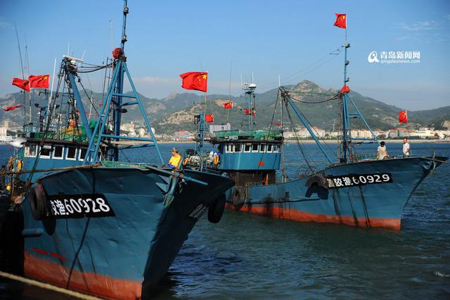 高清：青岛开海倒计时 沙子口渔港百船待发