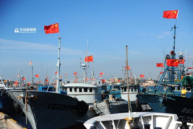 高清：青岛开海倒计时 沙子口渔港百船待发