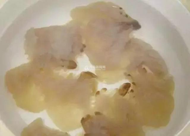 组图:明天开海! 红岛最全赶海秘籍拿走不谢 组图:明天开海! 红岛最全赶海秘籍拿走不谢