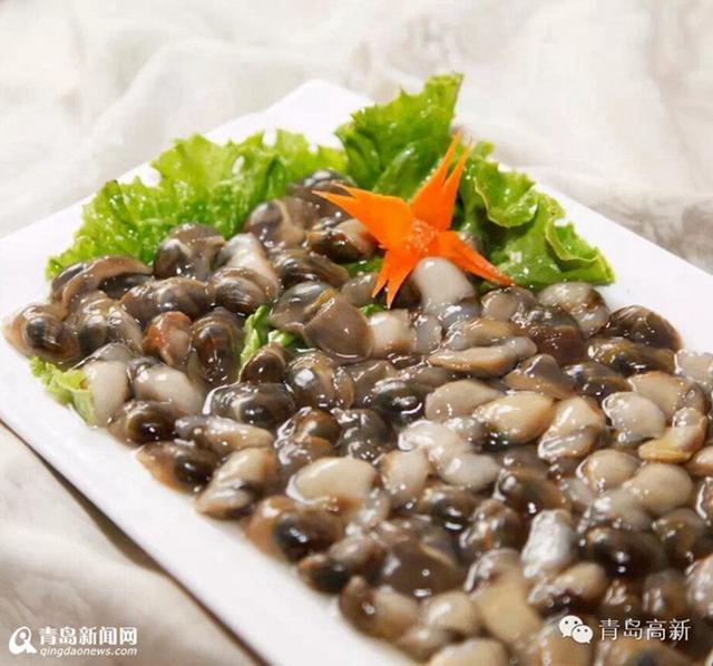 组图:明天开海! 红岛最全赶海秘籍拿走不谢 组图:明天开海! 红岛最全赶海秘籍拿走不谢