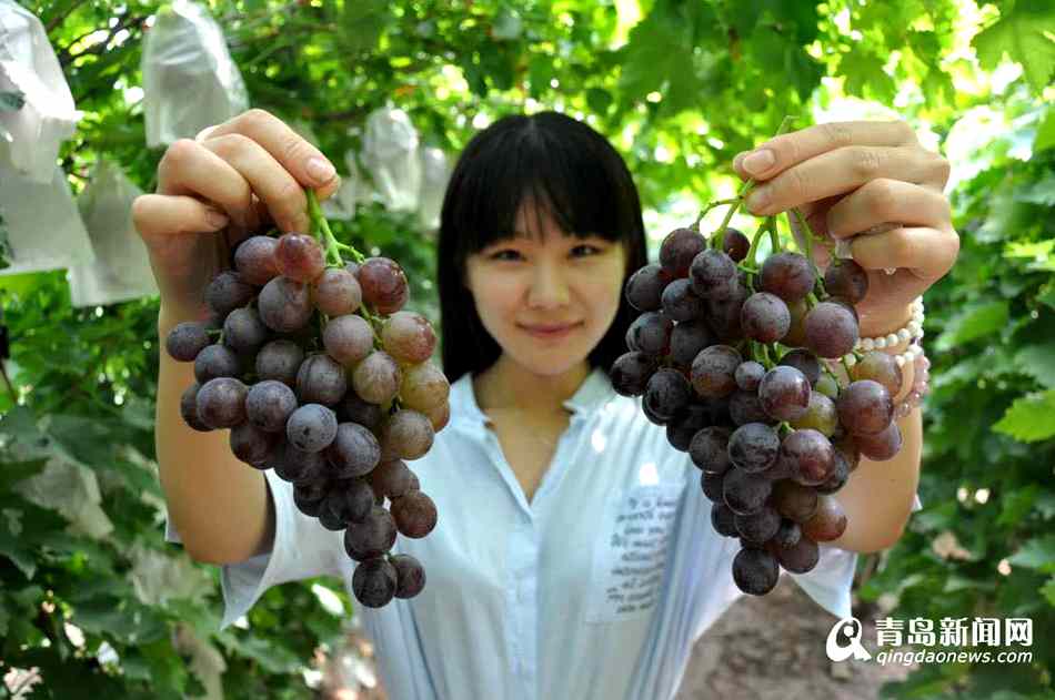 高清:大泽山葡萄节开幕 榴莲味葡萄你吃过吗