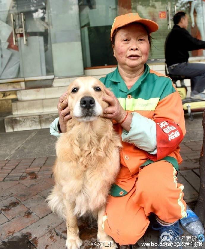 金毛跟着环卫工大姐扫大街负责捡瓶子