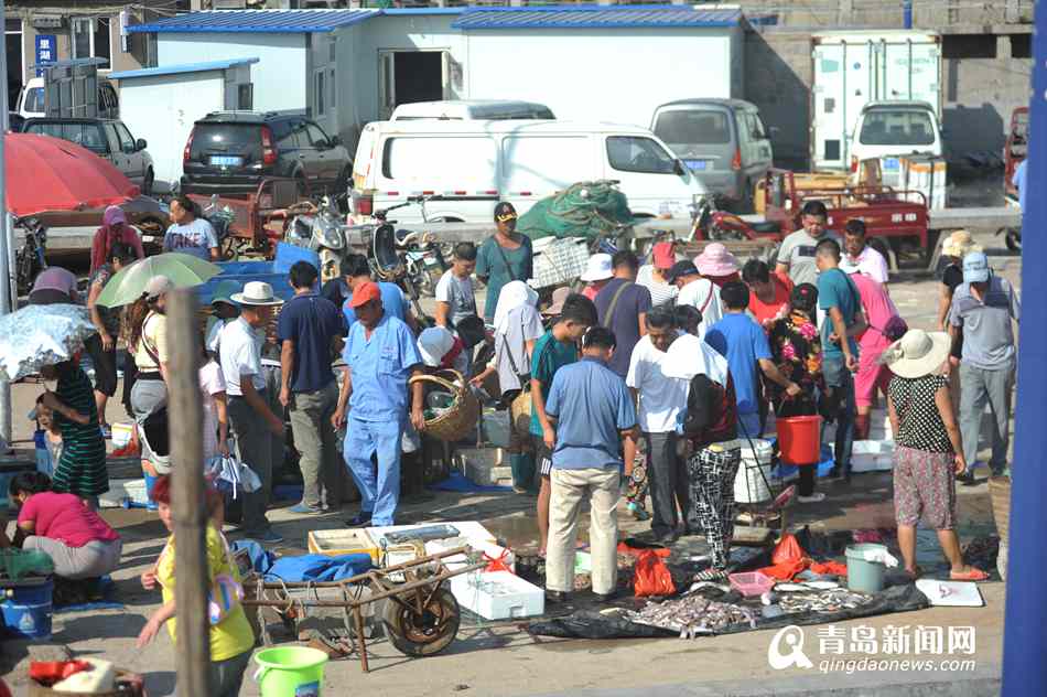 高清:青岛本地小海鲜上市了 抢鲜市民挤爆码头