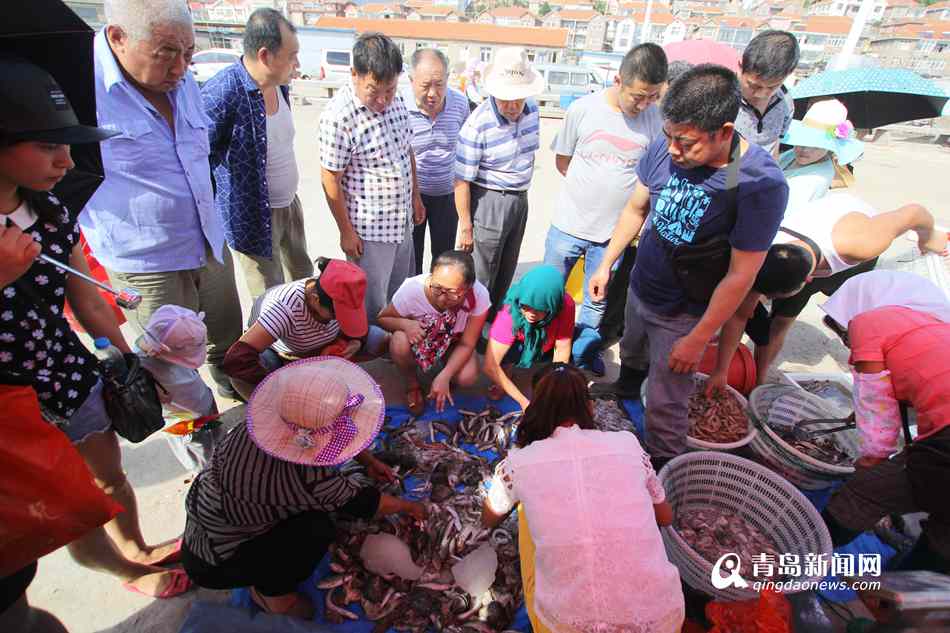 高清:青岛本地小海鲜上市了 抢鲜市民挤爆码头