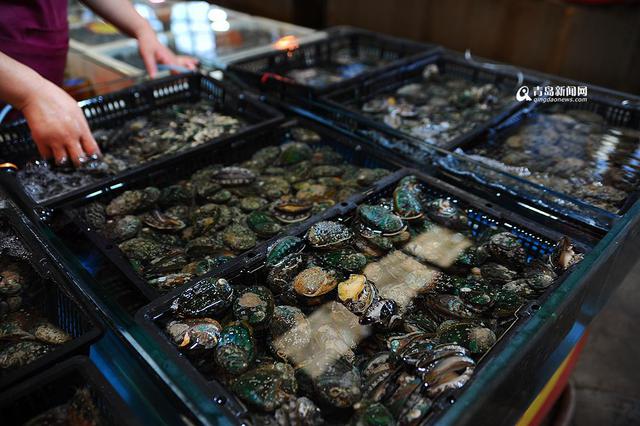 本地迷你鲍鱼卖出蛤蜊价 2元一只快尝鲜