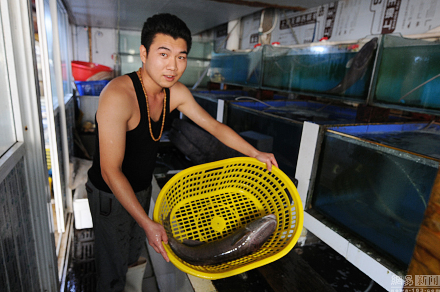 组图:青岛渔民捕获两条黑色怪鱼 头部长吸盘