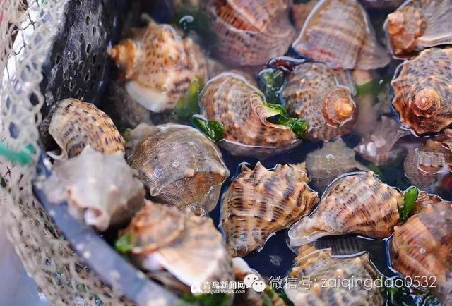 组图:关于秋季吃海鲜的常识和禁忌 拿好不谢! 组图:关于秋季吃海鲜的常识和禁忌 拿好不谢!