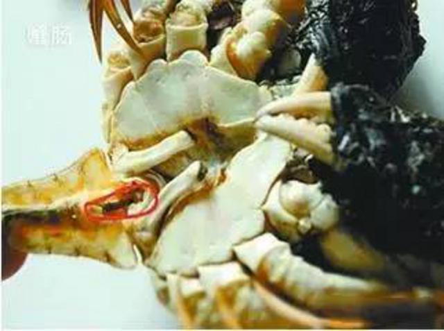 组图:关于秋季吃海鲜的常识和禁忌 拿好不谢! 组图:关于秋季吃海鲜的常识和禁忌 拿好不谢!
