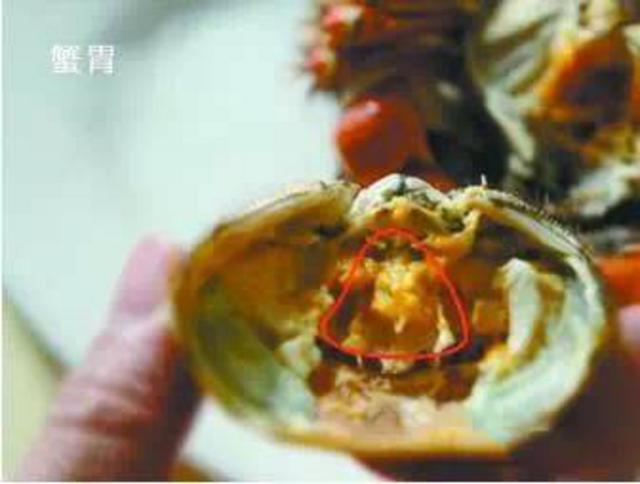 组图:关于秋季吃海鲜的常识和禁忌 拿好不谢! 组图:关于秋季吃海鲜的常识和禁忌 拿好不谢!