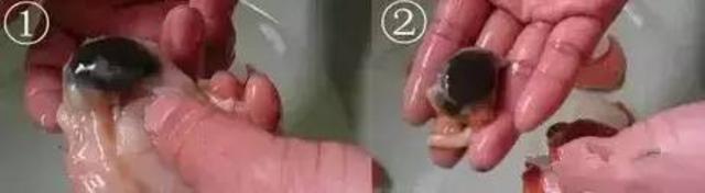 组图:关于秋季吃海鲜的常识和禁忌 拿好不谢! 组图:关于秋季吃海鲜的常识和禁忌 拿好不谢!