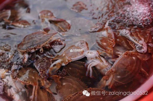 组图:关于秋季吃海鲜的常识和禁忌 拿好不谢! 组图:关于秋季吃海鲜的常识和禁忌 拿好不谢!